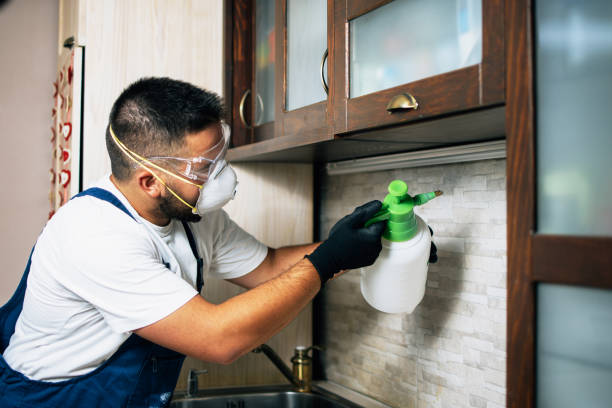 Best Local Pest Control Services  in Lannon, WI