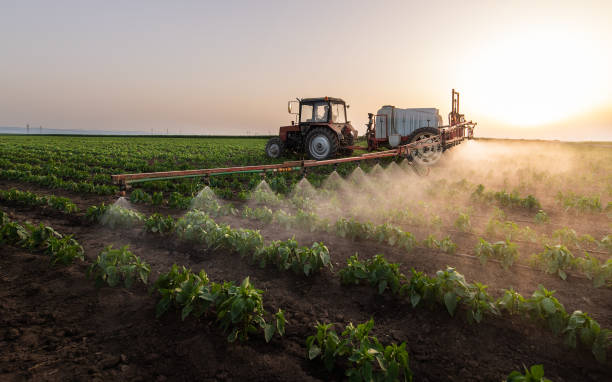 Best Commercial Pest Control Services  in Lannon, WI