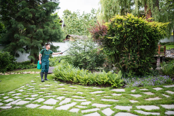 Best Ant Control Services  in Lannon, WI