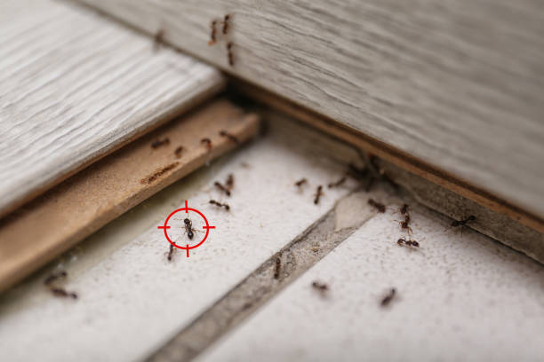 Best Pest Control for Businesses  in Lannon, WI