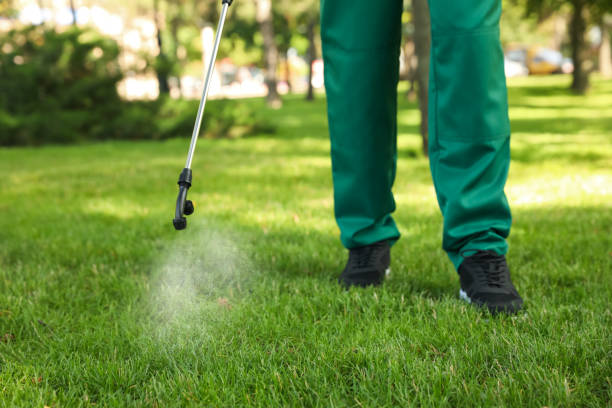 Best Ant Control Services  in Lannon, WI