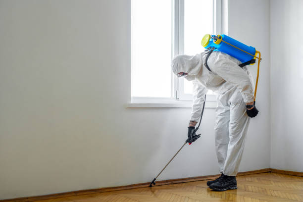 Best Termite Control Services  in Lannon, WI