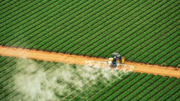 Reliable Lannon, WI Pest Control Solutions