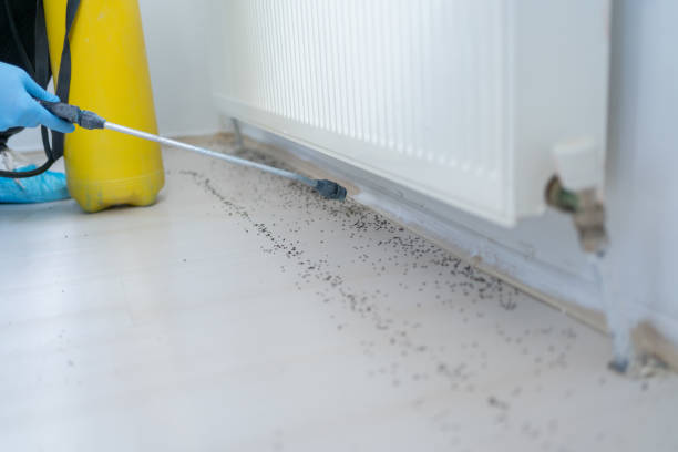 Pest Prevention Services in Lannon, WI