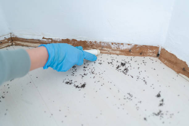 Wildlife Control Services in Lannon, WI