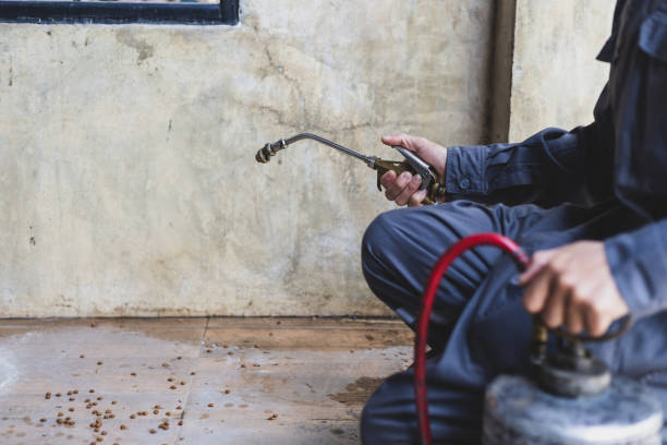 Best Flea Control Services  in Lannon, WI